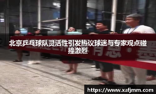 北京乒乓球队灵活性引发热议球迷与专家观点碰撞激烈