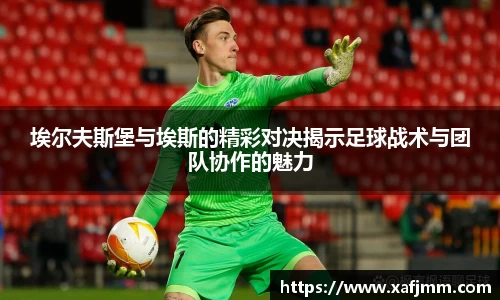 雷竞技raybetapp官网